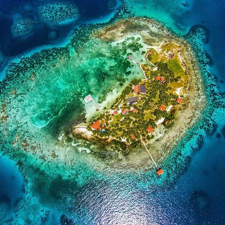 Hatchet Caye Island Resort (Adults Only) Placencia Экстерьер фото