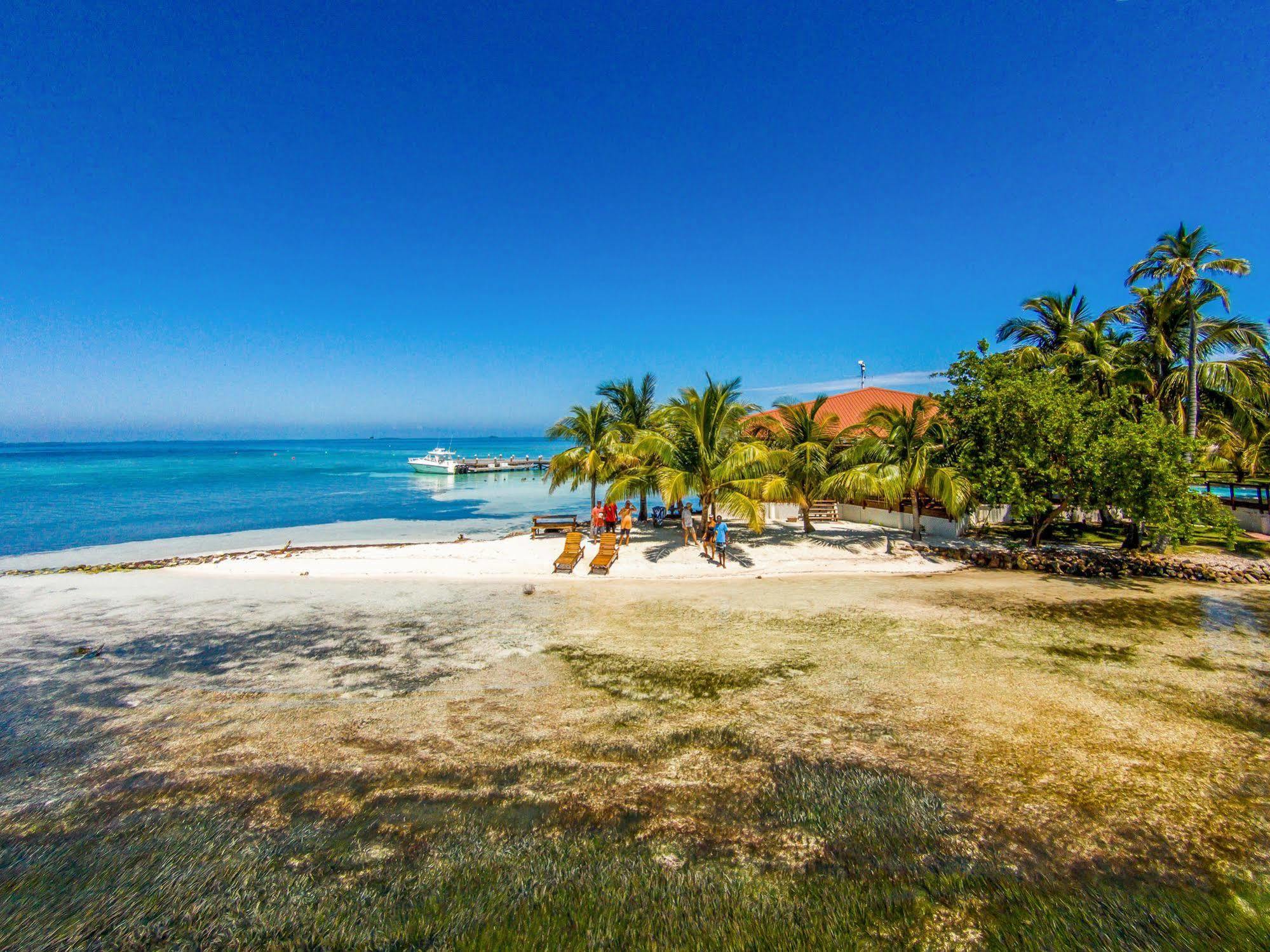 Hatchet Caye Island Resort (Adults Only) Placencia Экстерьер фото